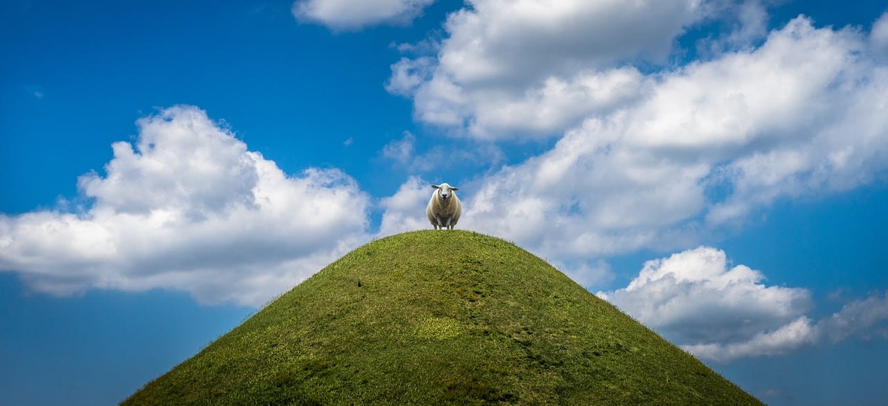 Vegan Eating Would Slash Food's Global Warming Emissions: Study 9 Vegan Eating Would Slash Food's Global Warming Emissions: Study 8