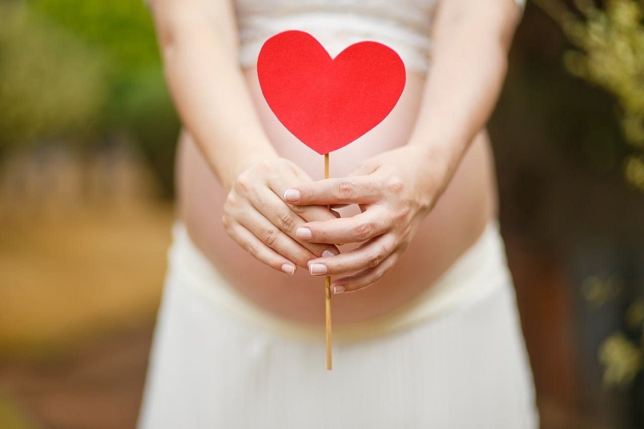 How To Eat Healthy During Your Pregnancy 9 How To Eat Healthy During Your Pregnancy 8