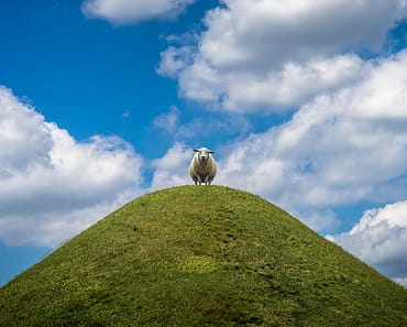 Vegan Eating Would Slash Food’s Global Warming Emissions: Study